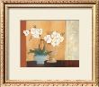 Weibe Orchideen Ii by Juliane Jahn Limited Edition Print