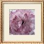 Pink Flower by Prades Fabregat Limited Edition Pricing Art Print