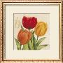 Red, Orange And Yellow Tulips by Julio Sierra Limited Edition Print