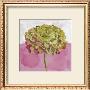 Hortensia Vert by Valerie Roy Limited Edition Print