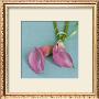 Arum Lilies by Catherine Beyler Limited Edition Pricing Art Print