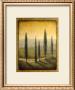 Morning Path I by Laurie Tavino Limited Edition Print