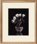 Dramatic Roses by Dick & Diane Stefanich Limited Edition Pricing Art Print