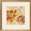Bloomers I by Dysart Limited Edition Pricing Art Print