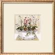 Orchid Tub by Charlene Winter Olson Limited Edition Pricing Art Print