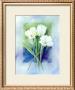 White Narcissus by Franz Heigl Limited Edition Pricing Art Print