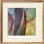 Banana Leaves Iv by Joy Doherty Limited Edition Print