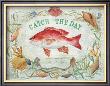 Snapper by Scott Jessop Limited Edition Pricing Art Print