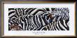 Zebras's Sea by Lisa Benoudiz Limited Edition Pricing Art Print