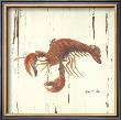Lobster by Grace Pullen Limited Edition Pricing Art Print