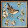 Native Finch I by Susan Winget Limited Edition Print