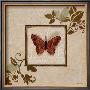 Butterfly Study I by Hakimipour-Ritter Limited Edition Print