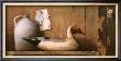 Pintail And Jug by Ray Hendershot Limited Edition Print