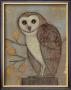 Ornate Owl Ii by Norman Wyatt Jr. Limited Edition Print