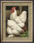 Cassell's Poultry Book Pricing Limited Edition Prints