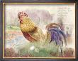Blue Tail Rooster by Alma Lee Limited Edition Print
