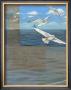 Three White Gulls Iii by Tara Friel Limited Edition Print