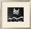 French Tabby Cat by Mesh Gabriella Limited Edition Pricing Art Print