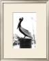 Pelican Perch by Laura Denardo Limited Edition Pricing Art Print