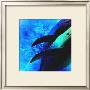 Dolphin I by Jean-Franã§Ois Dupuis Limited Edition Print