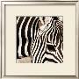 Zebra Pattern by Frank & Susann Parker Limited Edition Pricing Art Print