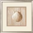 Coquille Saint-Jacques by Pascal Cessou Limited Edition Print