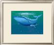 Whales Ultramarine by Dale Ziemianski Limited Edition Print