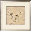 Chickadee And Pear by Jill Schultz Mcgannon Limited Edition Print