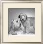 Ruff And Daisy by Amanda Jones Limited Edition Print