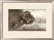 Archibald Thorburn Pricing Limited Edition Prints