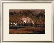 Hans W. Sylvester Pricing Limited Edition Prints