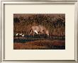 Equus, Camargue, France by Hans W. Sylvester Limited Edition Pricing Art Print