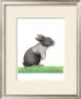 Rabbit On Grass by Alan Baker Limited Edition Pricing Art Print