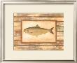 Shad by Zachary Alexander Limited Edition Print