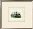 Shoveler by J. G. Keuleman Limited Edition Pricing Art Print