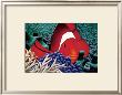 Clown Fish by Mark Mackay Limited Edition Pricing Art Print