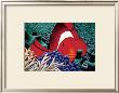 Clown Fish by Mark Mackay Limited Edition Print