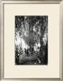 Mallard Pair by Bill Perlmutter Limited Edition Print