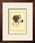 Danchin Brittany Spaniel by Danchin Limited Edition Print