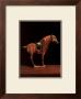 Asian Equus I by Hampton Hall Limited Edition Print