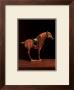 Asian Equus I by Hampton Hall Limited Edition Print