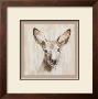 La Biche by Pascal Cessou Limited Edition Pricing Art Print