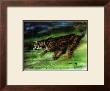 King Cheetah by Therese Nielsen Limited Edition Pricing Art Print