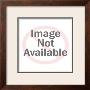 Van-Luc Pricing Limited Edition Prints