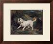 Portrait Of A Terrier by Edwin Landseer Limited Edition Pricing Art Print