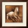 Champion Stock I by Elaine Vollherbst-Lane Limited Edition Print