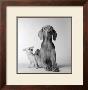 Max And Roxie by Amanda Jones Limited Edition Pricing Art Print