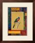 Australian Parrot by Jaggu Prasad Limited Edition Pricing Art Print