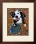 Happy Staffie by Robert Mcclintock Limited Edition Print