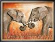 Elephant Kiss by Arkadiusz Warminski Limited Edition Pricing Art Print